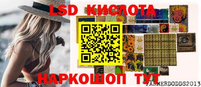 ALPHA PVP Гай