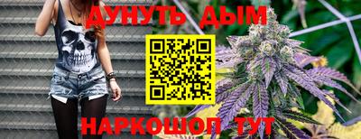 кокс Гатчина