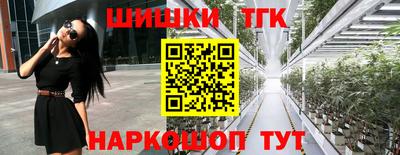 кокс Гатчина