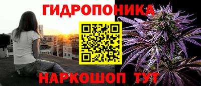 ALPHA PVP Гай