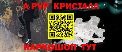 кокс Гатчина