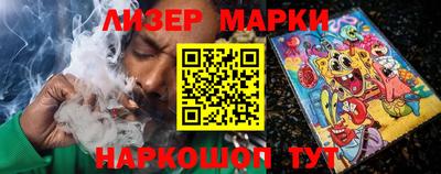 кокс Гатчина