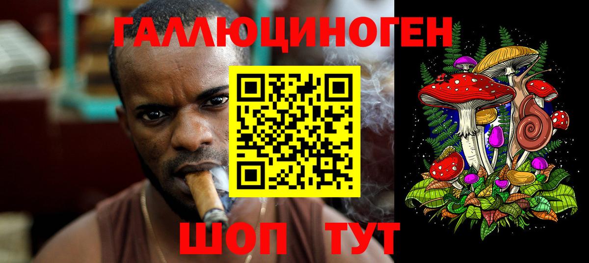 Галлюциногенные грибы GOLDEN TEACHER Медногорск